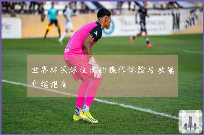 世界杯买球注册的操作体验与功能介绍指南