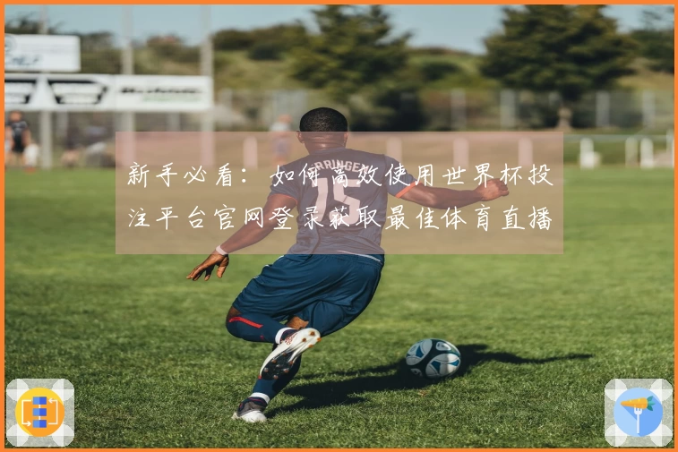 新手必看：如何高效使用世界杯投注平台官网登录获取最佳体育直播体验