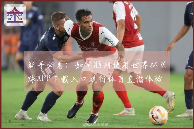 新手必看：如何顺利使用世界杯买球APP下载入口进行体育直播体验