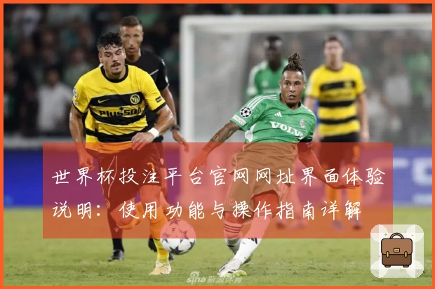 世界杯投注平台官网网址界面体验说明：使用功能与操作指南详解