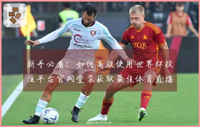 新手必看：如何高效使用世界杯投注平台官网登录获取最佳体育直播体验