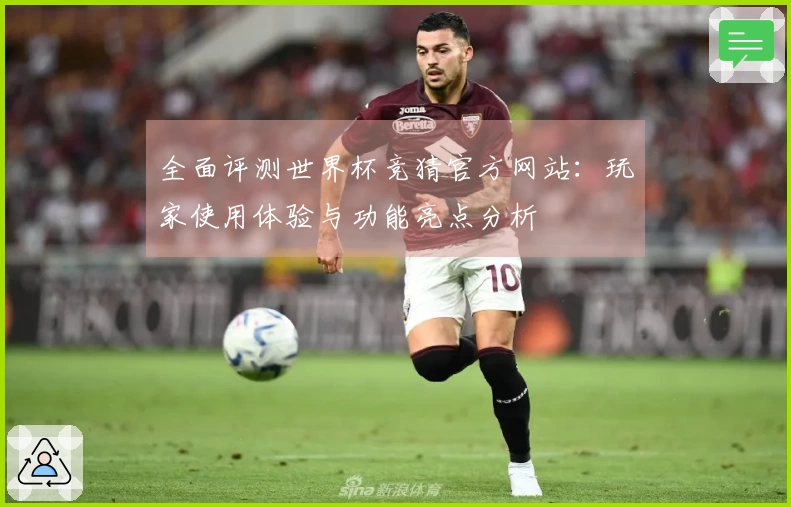 全面评测世界杯竞猜官方网站：玩家使用体验与功能亮点分析