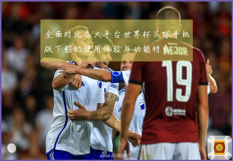 全面对比各大平台世界杯买球手机版下载的使用体验与功能特色